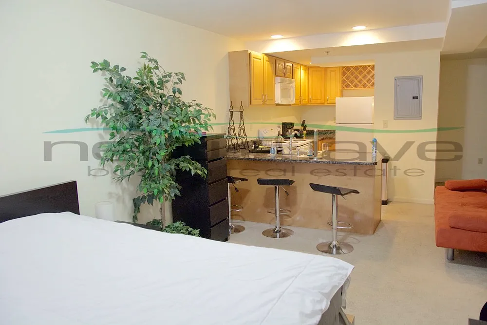 Studio, 450 sqft, $2,700 — Photo 1