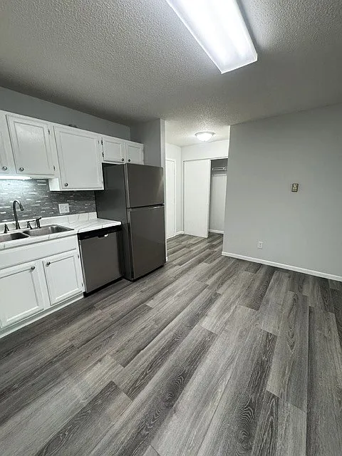 1 bed, 690 sqft, $1,225 — Photo 4