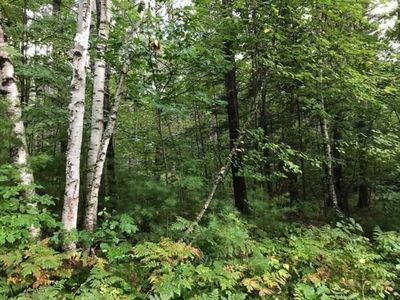 Lot 1 Brandt Road, Hayward, WI, 54843
