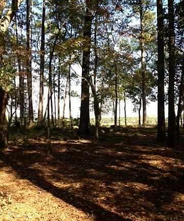 3rd image of 7 Pleasant Place Dr