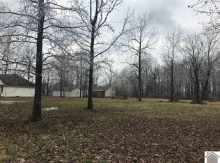 11 E Evelyn Dr, Paducah, KY 42003