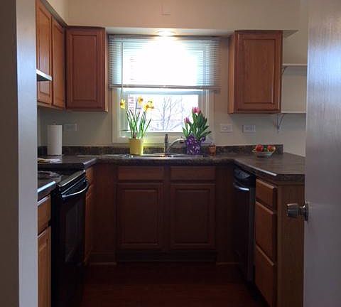 Lots of natural sunlight in kitchen