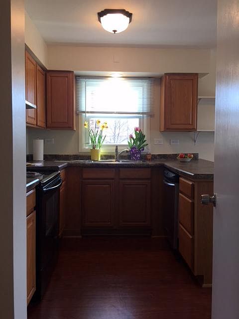 Lots of natural sunlight in kitchen