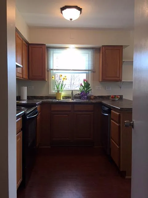 Lots of natural sunlight in kitchen