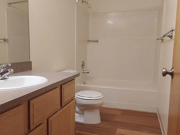 Hall bathroom