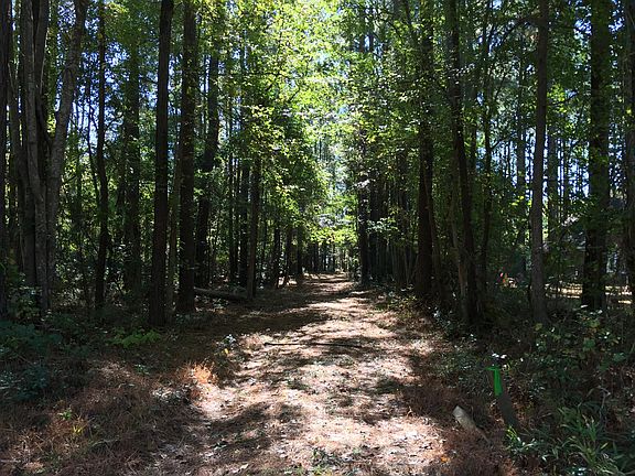3rd image of Lot 37 Mill Creek Lane