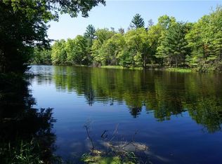 N9425 Buckhorn Dr, Merrillan, WI 54754