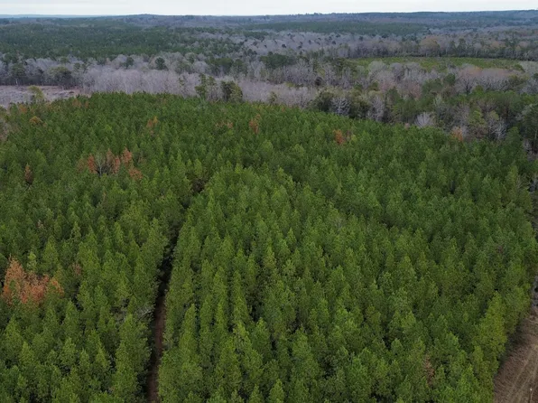 0 W 478th Hwy, Newhebron, MS 39140