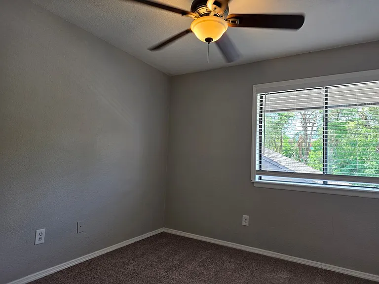 162 Olive Tree Cir — Photo 34