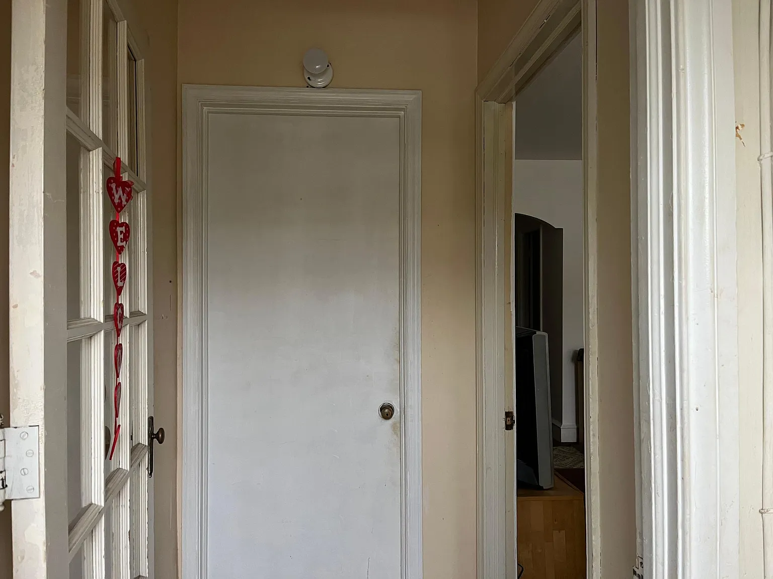 1 bed, 800 sqft, $1,250 — Photo 4
