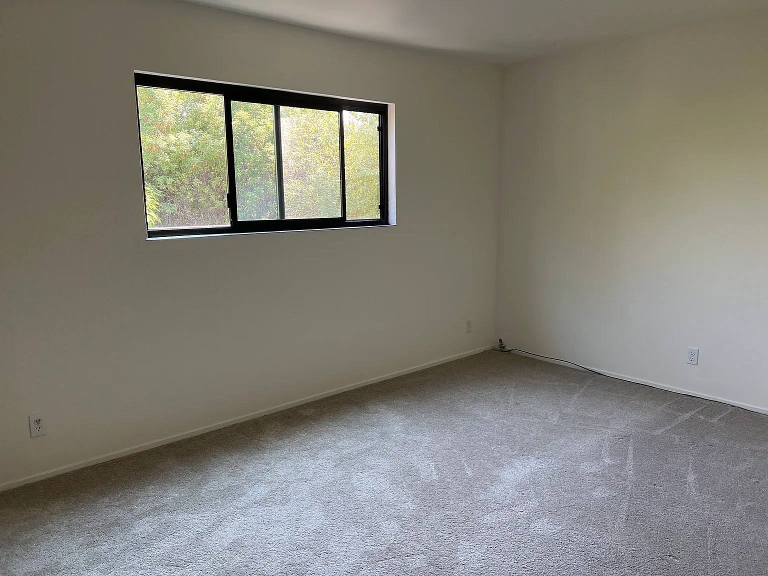 2 bed, 800 sqft, $2,200 — Photo 2