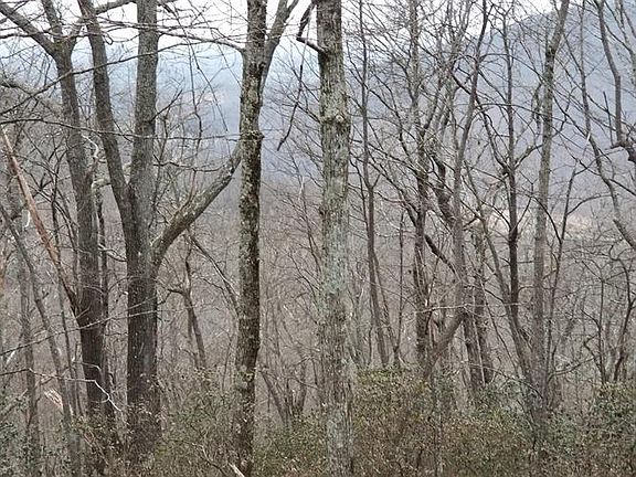 5th image of 103 105 339 Moytoy Rd