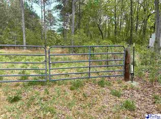 2886C Stephens Rd, Bethune, SC 29009