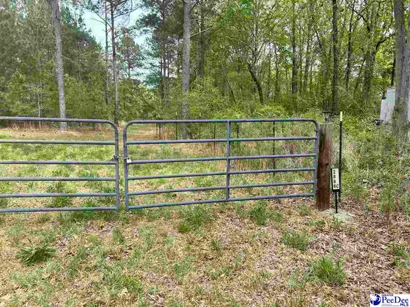 2886C Stephens Rd, Bethune, SC 29009