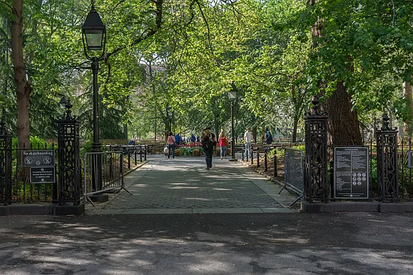 Rented by Sky Management | media 77