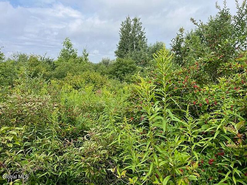 3rd image of L14.411 01 Ennis Road
