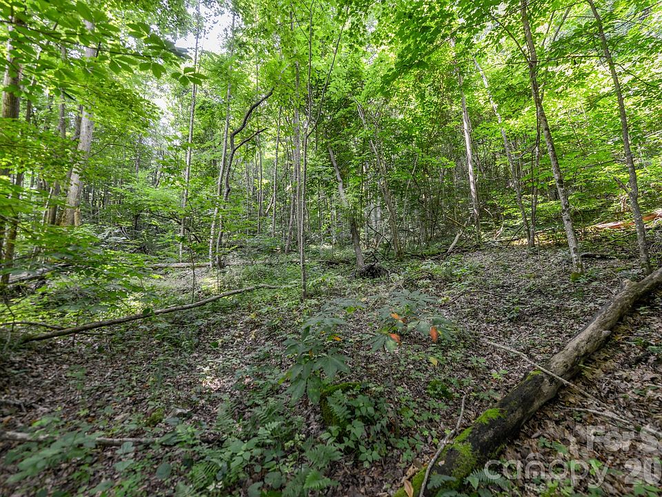 1st image of Board Tree Rd #1
