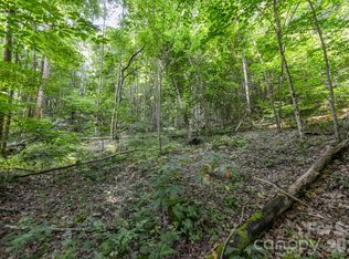Board Tree Rd #1, Marshall, NC 28753