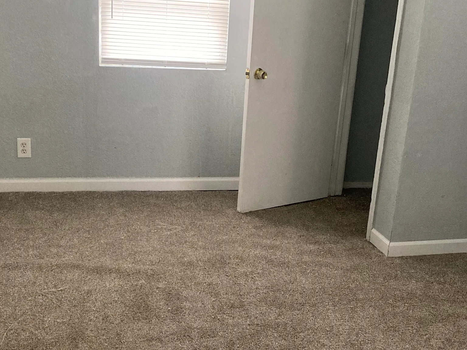 3 bed, 1290 sqft, $1,250 — Photo 4