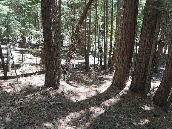 5th image of 2711 Crooked Creek Ln