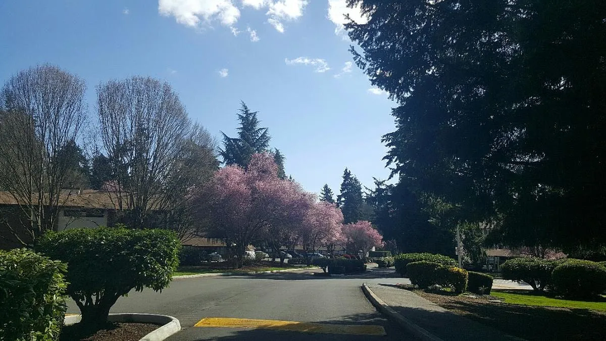 126th Court NE, Kirkland — Photo 3