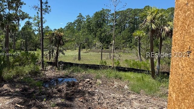 2nd image of 5 Woodstork Watch