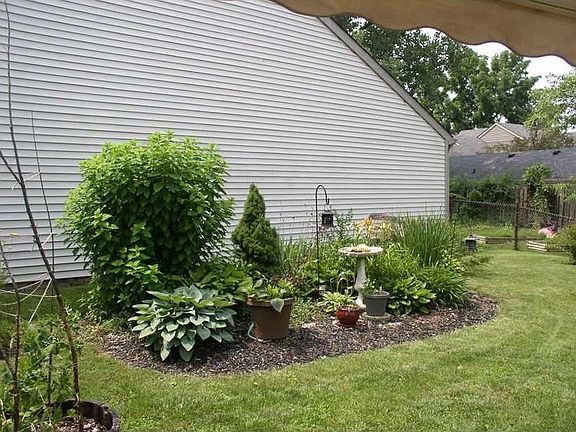 Yard.