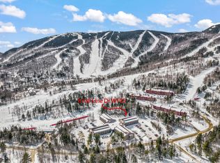 8 Fall Line Dr UNIT W105, Newry, ME 04261