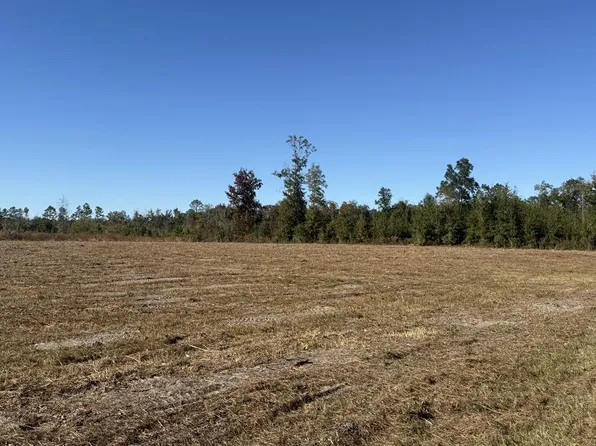 LOT 1 Highway 71, Wewahitchka, FL 32465