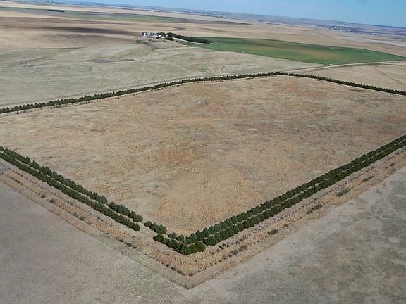 2nd image of 2020 Road East N #H