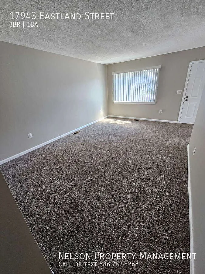3-Bedroom Ranch, Nice Kitchen, Good Sized Bedrooms, Double Wide Driveway, Big Backyard. Move In R... — Photo 4
