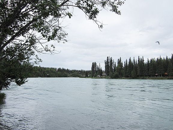 Kenai River