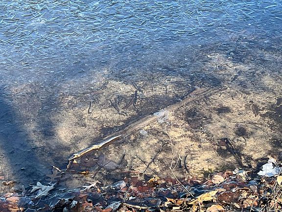 4th image of On Heart Lake Rd
