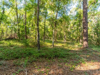 5282 S Robert Blake Ave LOT 19, Inverness, FL, 34452
