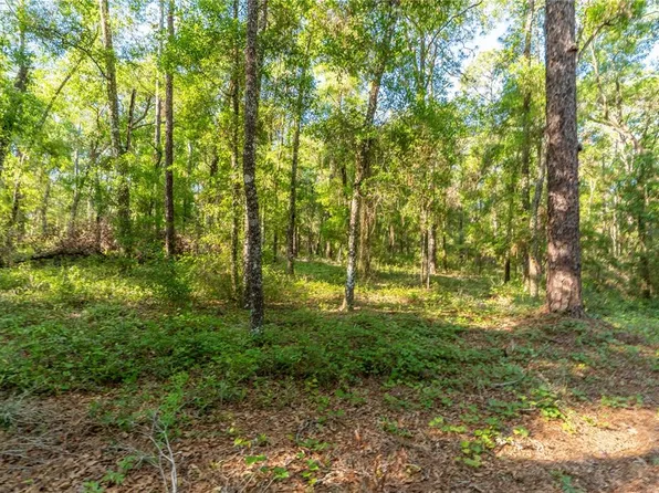 5282 S Robert Blake Ave Lot 19, Inverness, FL 34452