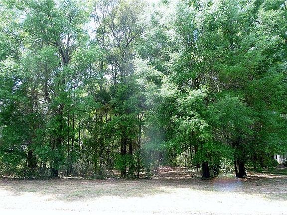 3rd image of 7381 Bella Foresta Pl