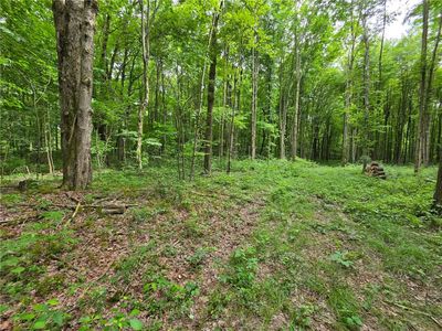 0 Fox Mine Rd, Jackson Center, PA, 16133
