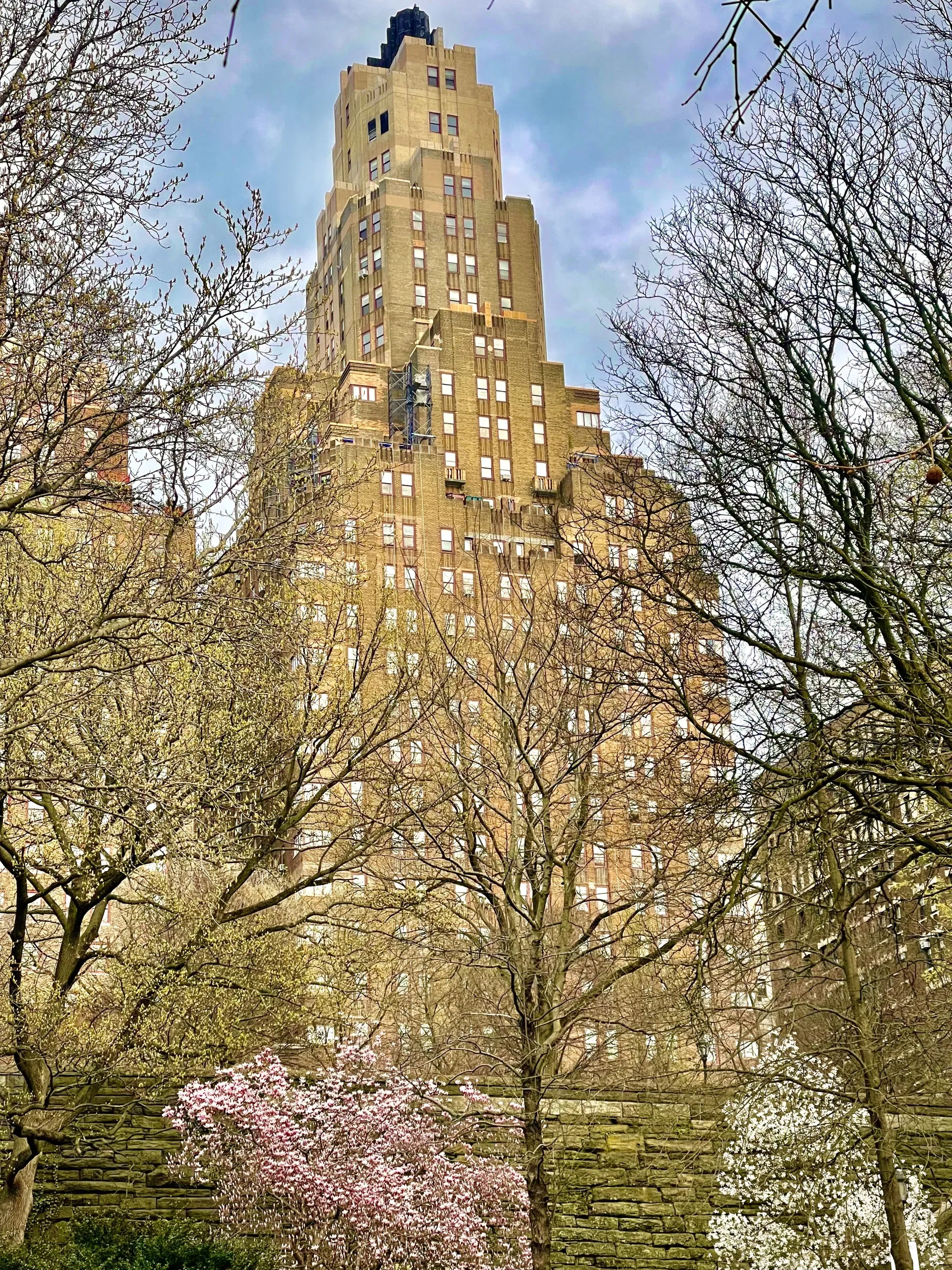 310 Riverside Drive #2009 in Upper West Side, Manhattan | StreetEasy