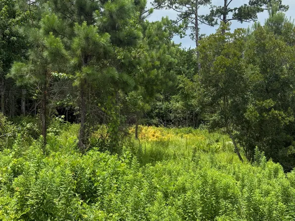 1015 Meridian Drive, Sneads Ferry, NC 28460