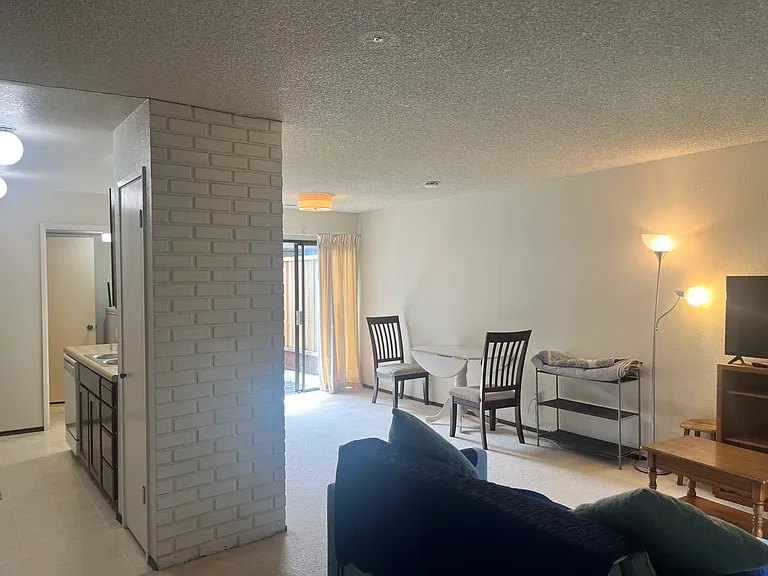 161 Peach Ter — Photo 12