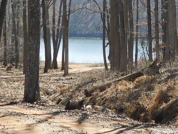 5th image of 176 Anderson Shores Dr