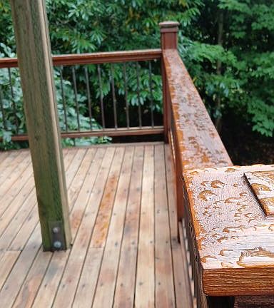 Deck rails facing South, fig tree, sugar maple, fir, laurel