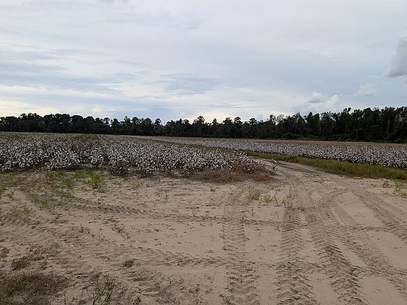 4th image of 5665 Union Rd