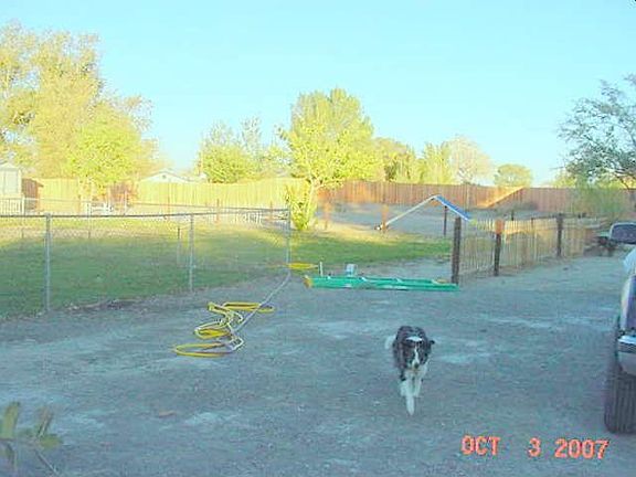 The perfect backyard