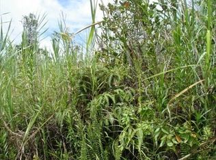 Pohaku Cir LOT 8348, Kurtistown, HI 96760