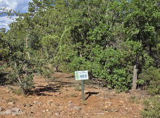 2335 S Twin Peak Trl, Show Low, AZ 85901