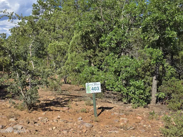 2335 S Twin Peak Trl, Show Low, AZ 85901