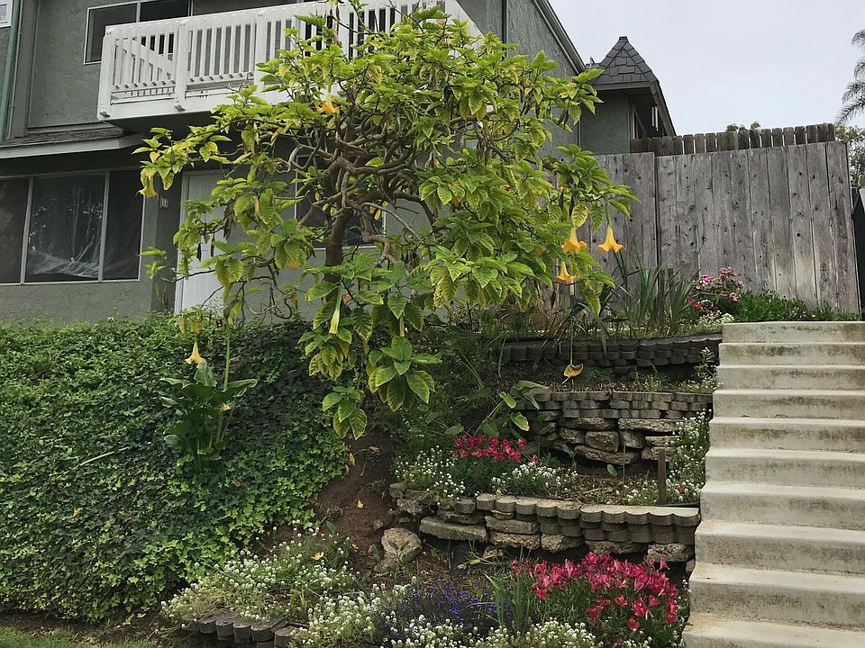 Front view of condo and patio fence.