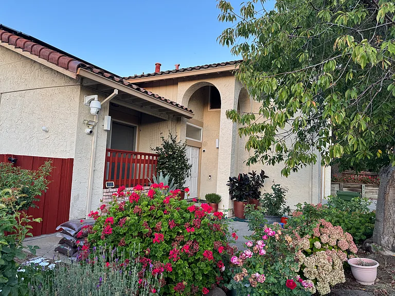 front yard