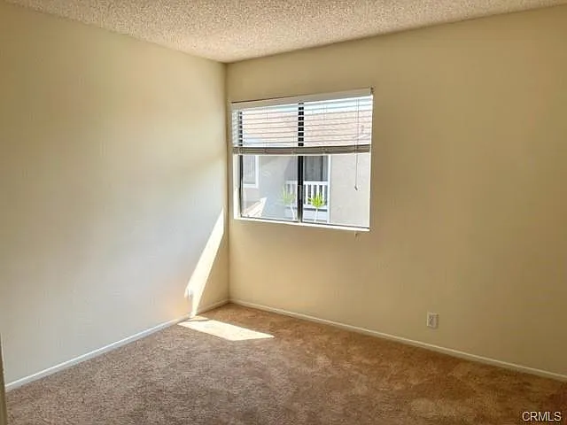 225 Tarocco — Photo 13